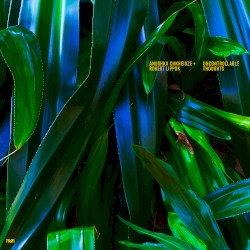 Uncontrollable Thoughts