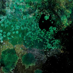 Breed in Me the Darkness: The Second Coming Mixes by Andrew Liles