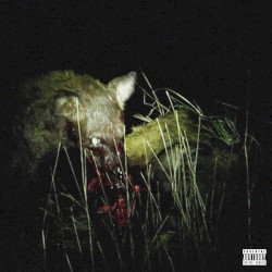 Animals Eating Other Animals