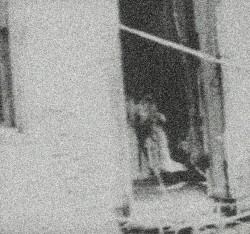 requiem for your sanity