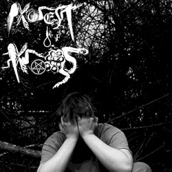 A World Without Amphibians