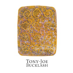Tony‐Joe Bucklash