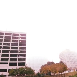 I Wanted to See the World Through Your Eyes