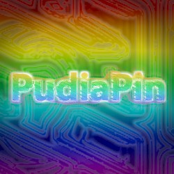 PudiaPin