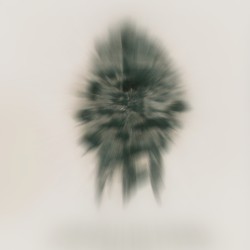 The Woman From Nowhere