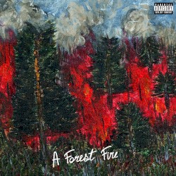 A Forest Fire