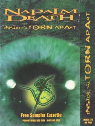 Inside the Torn Apart