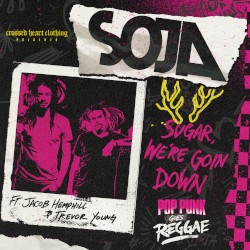 Sugar, We're Goin Down (Reggae Cover)