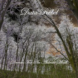 Dreams for an Abstrakt Mind