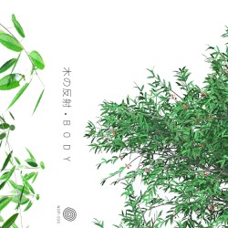 Body [Disc I] + [Disc II]