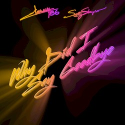 Why Did I Say Goodbye