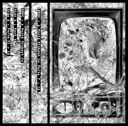 A World Without Us, Parts V–IX