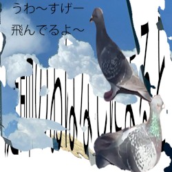 庭師のおはなしによると