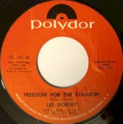 Freedom for the Stallion