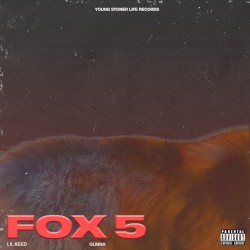 Fox 5