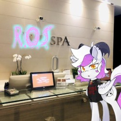 ROS Spa