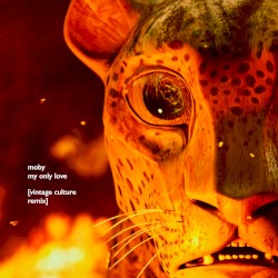 My Only Love (Vintage Culture remix)