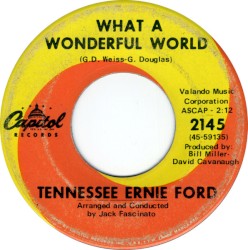 What a Wonderful World
