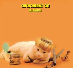 Chichonera's Cat