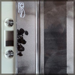 Never More Camellias