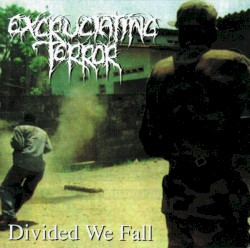 Divided We Fall
