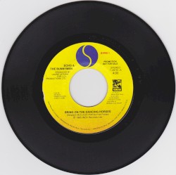 Bring On the Dancing Horses