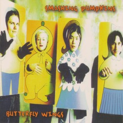 Butterfly Wings