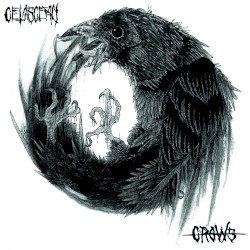 CROWS