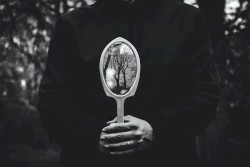 Speculum Reverie