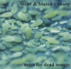 Mass for Dead Insects