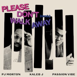 Please Don’t Walk Away (remix)