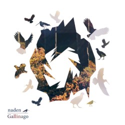 Gallinago