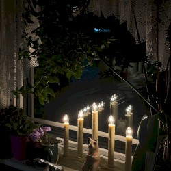 *ॢ˘̴͈́꒵˘̴͈̀*ॢ꒱ॱ◌̥