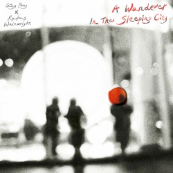 A Wanderer in the Sleeping City