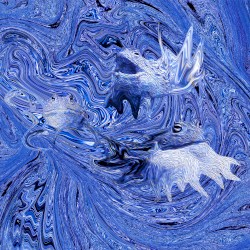 The Pyxicephalus Sessions