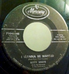 I Wanna Be Wanted / Askillamadillamajee