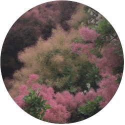 MIDI Pillow (versions)