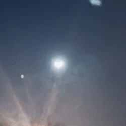 006: Words Into a Dream