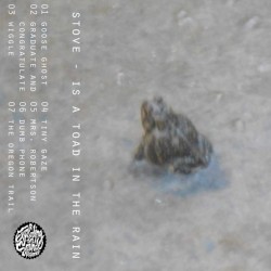 Is A Toad In The Rain