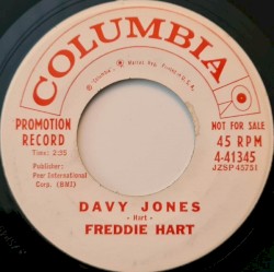 Davy Jones / The Wall