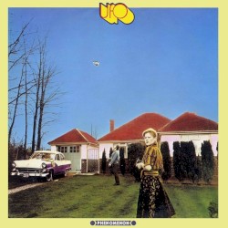 Phenomenon