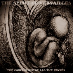 The Confluence of All the Senses