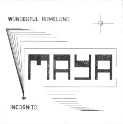 Wonderful Homeland / Incognito