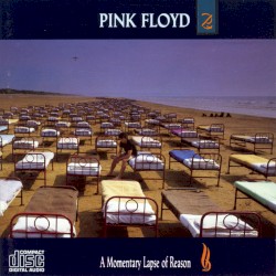 A Momentary Lapse of Reason