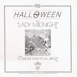 Lady Midnight