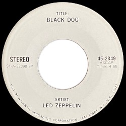 Black Dog