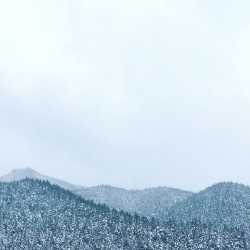 Disparate [Piano Day 2017]