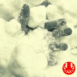 Body Parts and Other Uncommon Goods