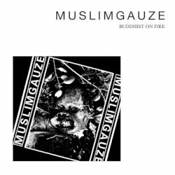 Buddhist on Fire