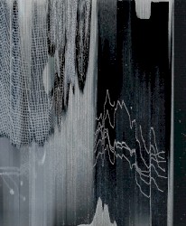 Pulsar Zips 2003–07